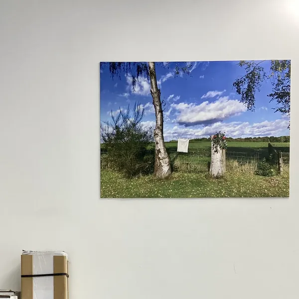 Fotografie